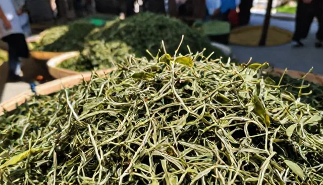 绿色食材并非越贵越健康，科学选择才是关键